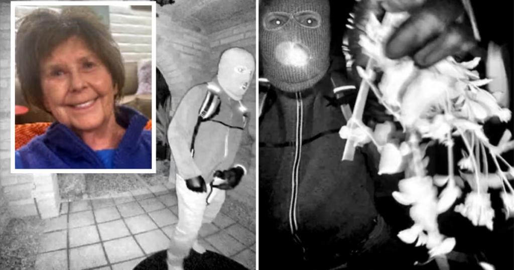 Delivery Driver Released in Nancy Guthrie Case